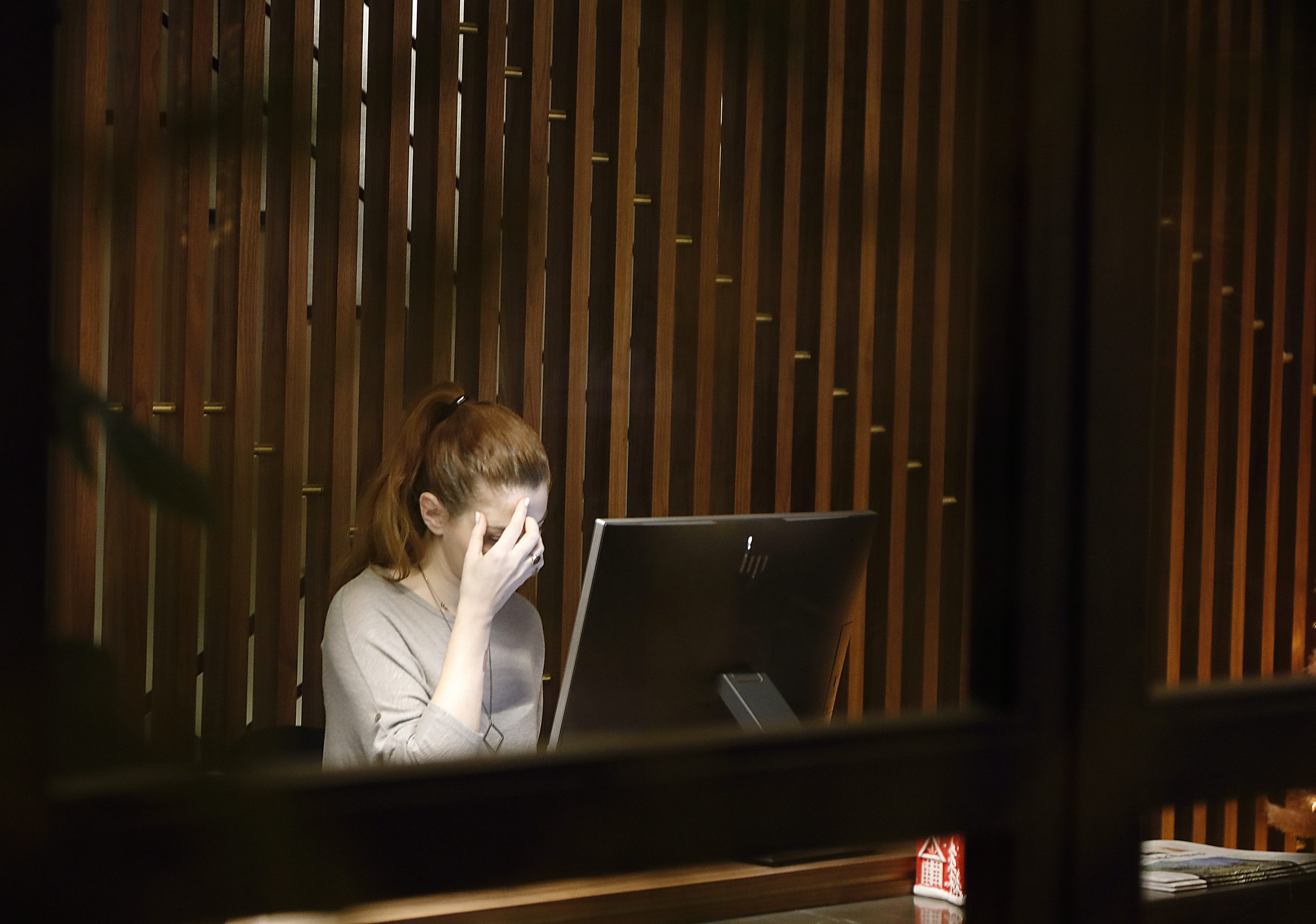 A lady giving presentation in a meeting